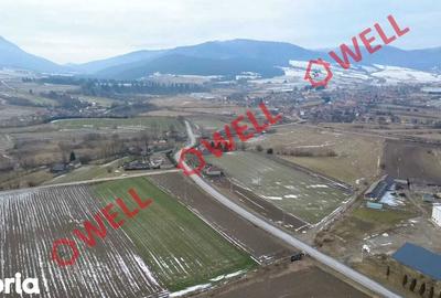 Teren de 4100 mp, în Tușnad - 2