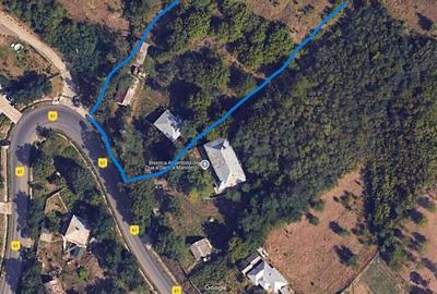 Casa batraneasca cu gradina in Botosani - 3