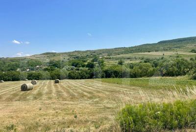 Teren intravilan, construibil in MACICASU , 3 KM de la Chint - 4