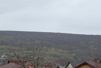 Locatie exclusivista ! Fii vecin cu padurea! - 5