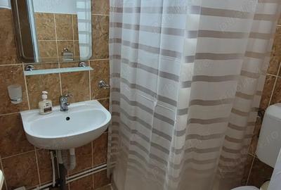 Ofer spre administrare inchiriere pensiune 20-25 pers Paltinu - 3