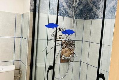 Apartament 3 camere, 2 bai, Tractorul, str. Mociulschi 9 - 8