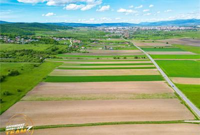 FILM! Teren intravilan industial, cu PUZ si acces la DJ112, - 3