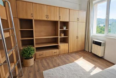 Garsonieră semidecomandată, mobilată în Noua - 2