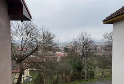 Apartament cu 3 camere decomandat în Cetate - 2