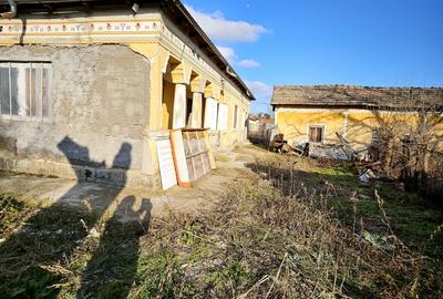 Casă cu 3 camere cu Teren 1300 Mp în Băneasa - 2