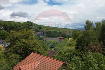Valea Borcutului,Teren intravilan de vanzare, intre case! - 9