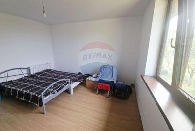 Oaza de liniste: casa cu livada si teren generos - Girov - 22