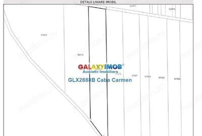 Teren de 25000 mp, în Nord - 5