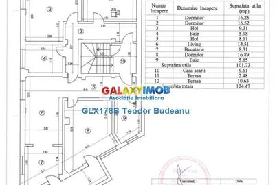 Casă cu 9 camere cu Teren 275 Mp în Chitila - 3