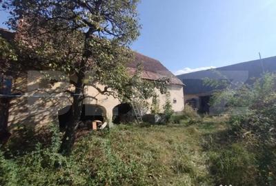 Casă cu 4 camere cu Teren 6700 Mp în Dorolea - 9