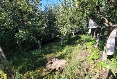 Casă cu 4 camere cu Teren 500 Mp în Goranu - 17