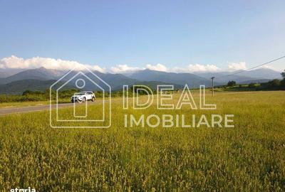 Spațiu comercial, în Cârțișoara - 2