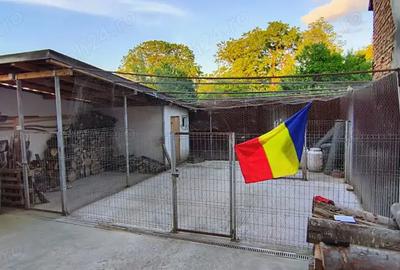 Vand casa - 8