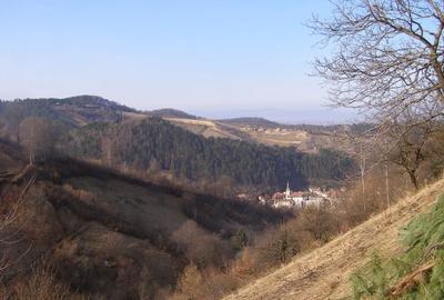 Tren intravilan si casa de lemn  in Brasov - 8
