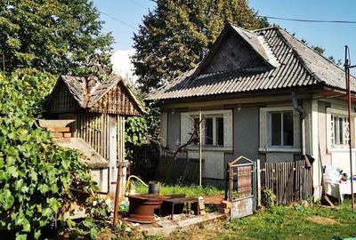 Teren de 3800 mp, în Satu Nou de Sus - 1