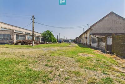 Spațiu industrial, de 6,179 mp, în Orțișoara - 31