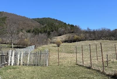 Vând teren intravilan în Piatra Neamț, zona Bistrița - 5