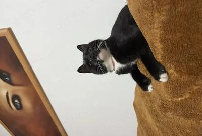 Garsoniera Parter CET baie cu cada mare si bucatarie cu geam - 7