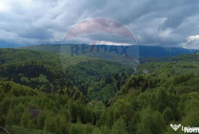 Teren în Dâmbovicioara