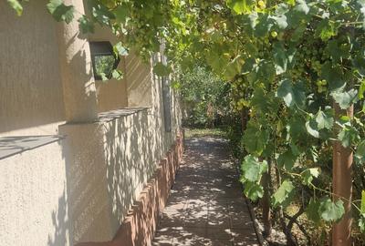 Casă cu 4 camere în Cireșanu - 6