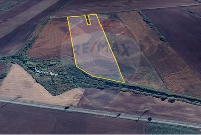 Teren agricol extravilan de 40000 mp, în Nord-Est - 7
