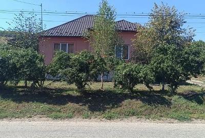 Casă cu 4 camere cu Teren 4925 Mp în Central
