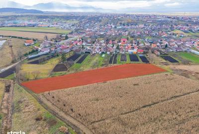 Teren de 10000 mp, în Bod - 2