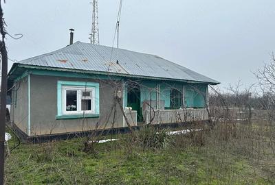 Casă cu Teren 2400 Mp în Toporu - 10