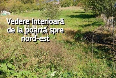 Teren de 2310 mp, în Central - 7
