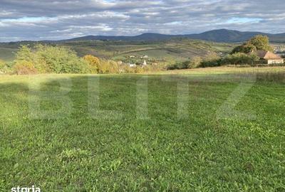 Teren de 27000 mp, în Meseșenii de Jos