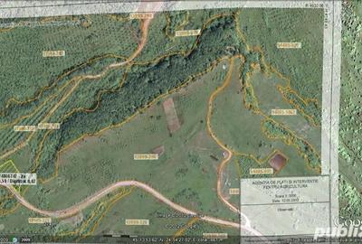 Teren de 55000 mp, în Slănic - 4