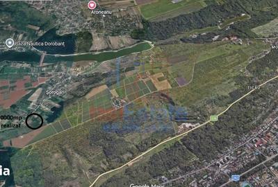 Teren de 10000 mp, în Aroneanu