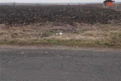 Teren de 5000 mp, în Berceni - 2