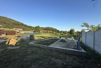 Teren de 1600 mp, în Hinova - 3
