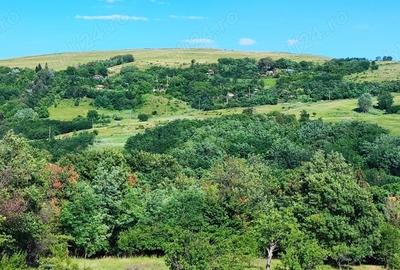 Teren de 5000 mp, în Boboci - 4