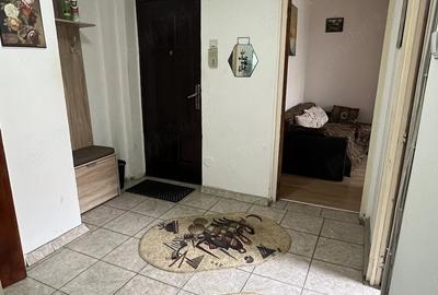 Apartament cu 2 camere decomandat în Scriitorilor - 1