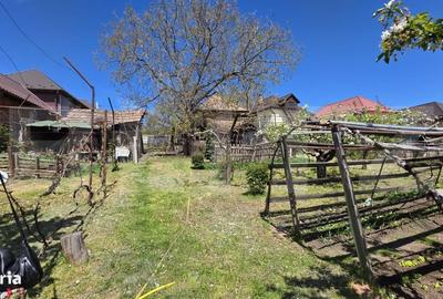 Casă cu 3 camere în Nazna - 16