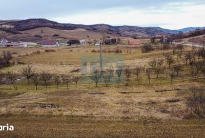 Teren de 1500 mp, în Ciurila - 1