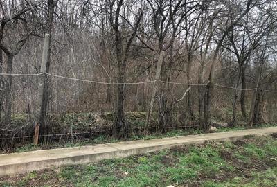 Teren de 3478 mp, în Viișoara - 6