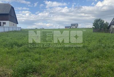 Teren Construcții intravilan de 4453 mp, în Burla - 1