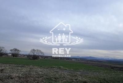 Teren agricol extravilan de 7500 mp, în Turnișor - 3