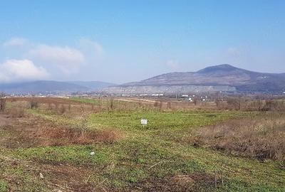 Teren de 5790 mp, în Central - 3