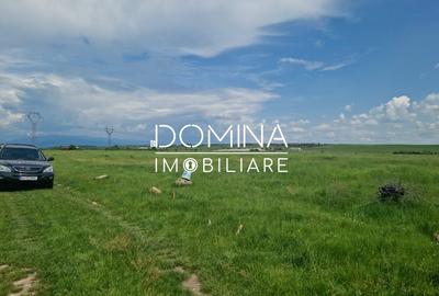 Teren agricol extravilan de 2897 mp, în Preajba - 3