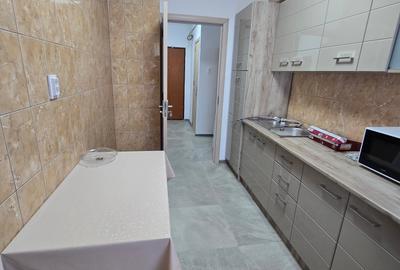 Apartament cu 2 camere decomandat în Gorjului - 14