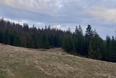 Teren intravilan de 1000 mp, în Văleni-Stânișoara