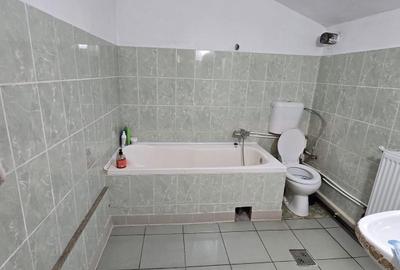 Casă cu 2 camere în Slătioarele - 8