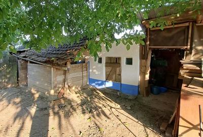 Casă cu 3 camere cu Teren 2700 Mp în Cenaloș