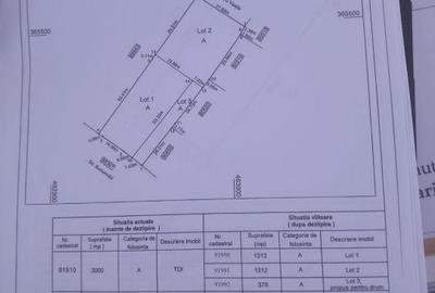 Spațiu comercial, în Bradu - 7