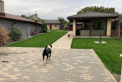 Teren de 605 mp, în Bălăceanca - 4